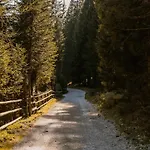 شقة Forest Pokljuka زغورنجي