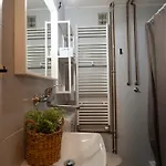 Forest Pokljuka زغورنجي