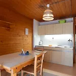 Forest Pokljuka * زغورنجي