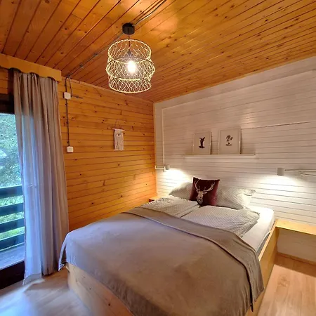 Forest Pokljuka