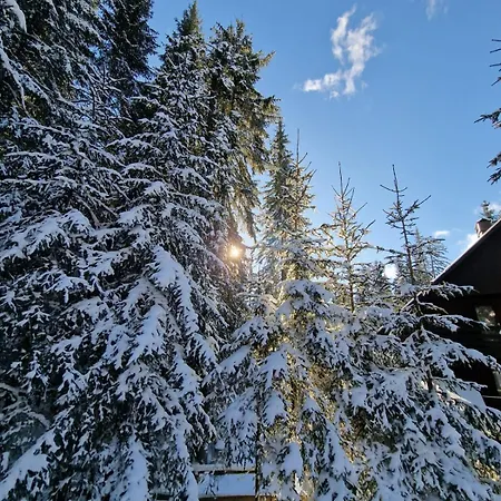 Forest Pokljuka 公寓