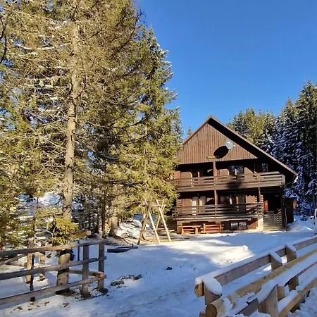 Forest Pokljuka Apartma *