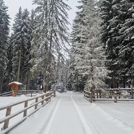 Forest Pokljuka Apartma *
