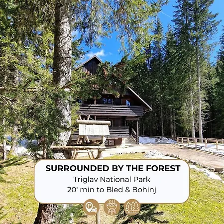 Apartma Forest Pokljuka *