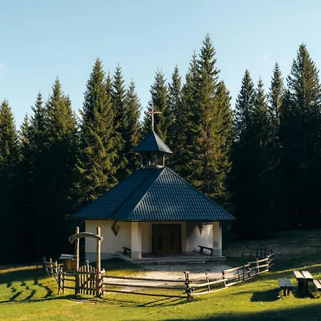 Forest Pokljuka Apartment