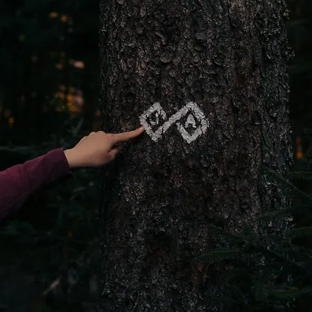 Forest Pokljuka 公寓 Zgornje Gorje