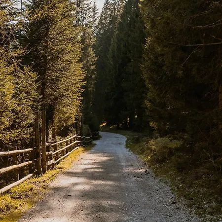 Apartma Forest Pokljuka Zgornje Gorje