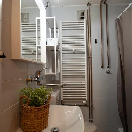 Forest Pokljuka Zgornje Gorje