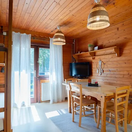 Forest Pokljuka