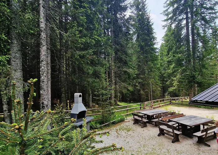 Forest Pokljuka