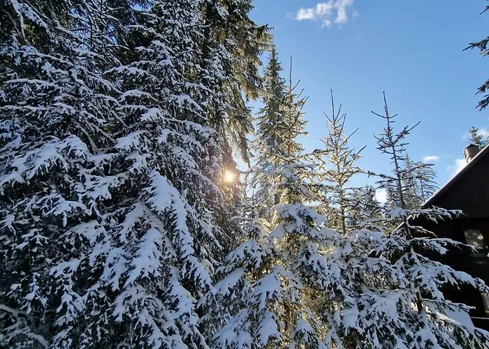 Forest Pokljuka Apartment