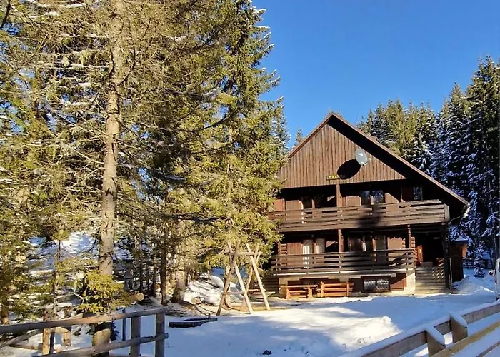 Forest Pokljuka Apartment *