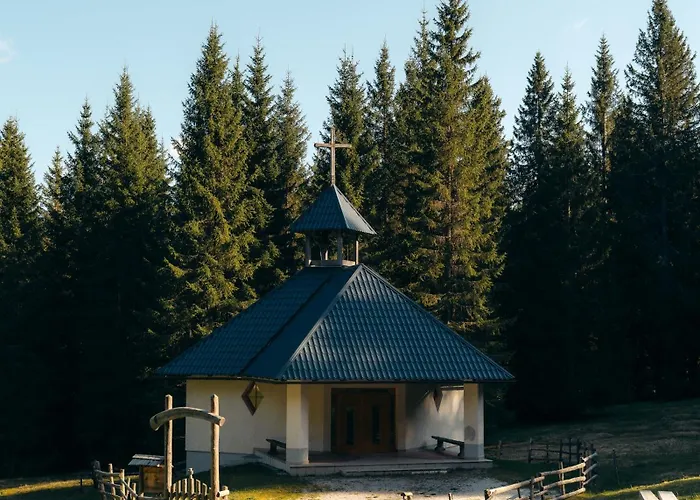 Forest Pokljuka Apartment