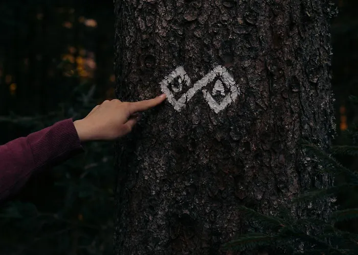 Forest Pokljuka شقة زغورنجي