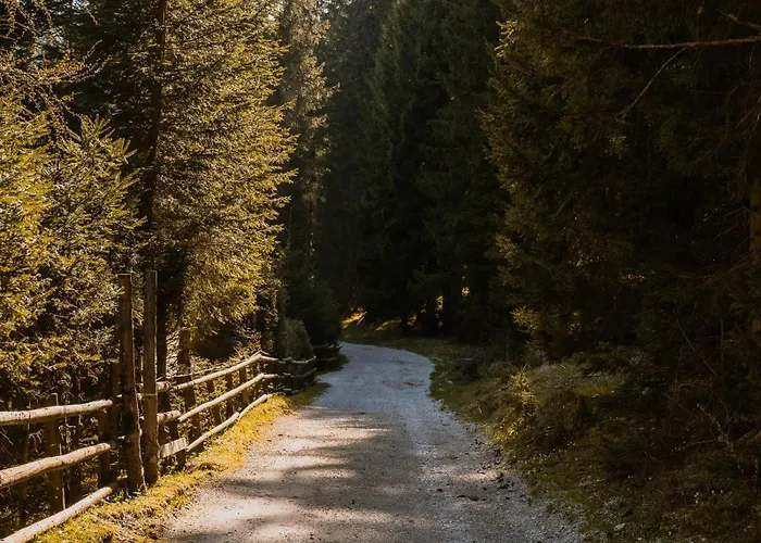 شقة Forest Pokljuka زغورنجي