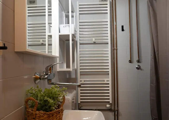 Forest Pokljuka زغورنجي