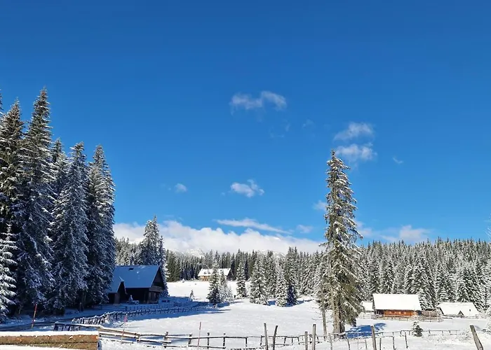 Forest Pokljuka * زغورنجي